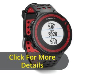 Garmin Forerunner 220