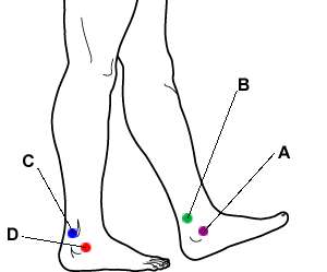 Ankle points
