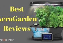 Best AeroGarden Reviews